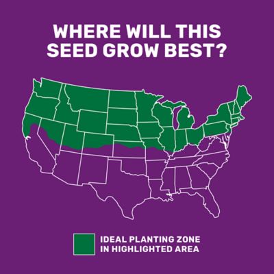 Image showing  25 lb. 43,560 sq. ft. All-Purpose Forage Grass Seed, North