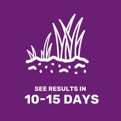 Image showing 5 th GroundWork 25 lb. 43,560 sq. ft. All-Purpose Forage Grass Seed, North