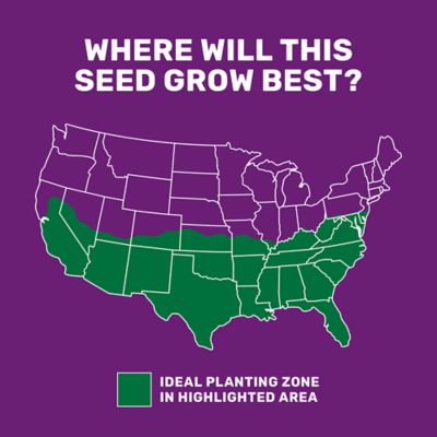 Image showing  25 lb. 43,560 sq. ft. All-Purpose Forage Grass Seed, South