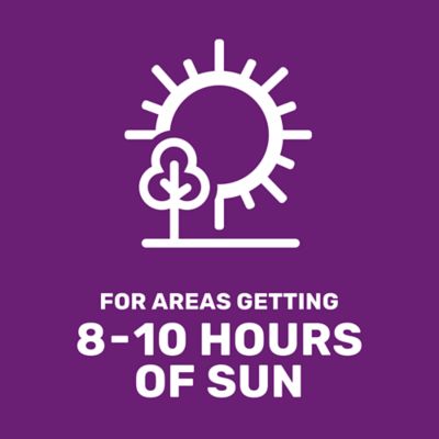 Image showing  25 lb. 43,560 sq. ft. All-Purpose Forage Grass Seed, South