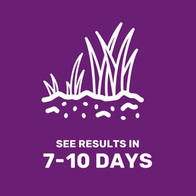 Image showing 5 th GroundWork 25 lb. 43,560 sq. ft. All-Purpose Forage Grass Seed, South