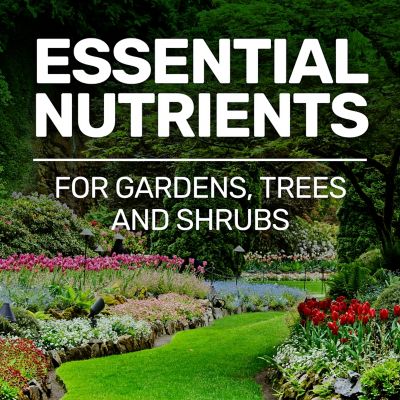 Image showing  10 lb. All-Purpose Fertilizer, 10-10-10