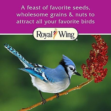 Royal Wing 18 in. Bird Feeder Extension Hook at Tractor Supply Co.