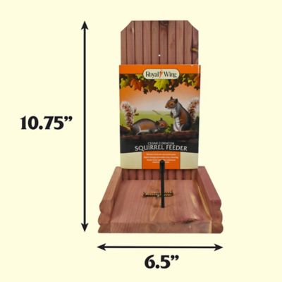Image showing  1 Cob Capacity Cedar Corncob Squirrel Feeder