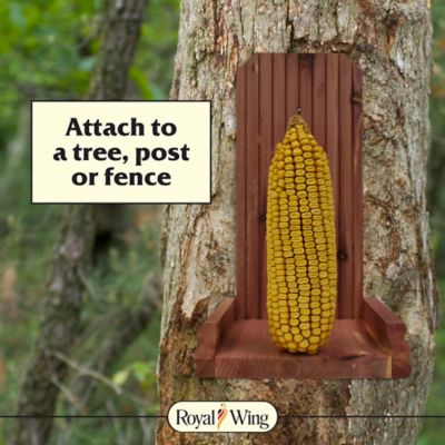 Image showing  1 Cob Capacity Cedar Corncob Squirrel Feeder