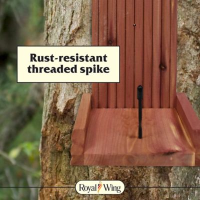 Image showing  1 Cob Capacity Cedar Corncob Squirrel Feeder