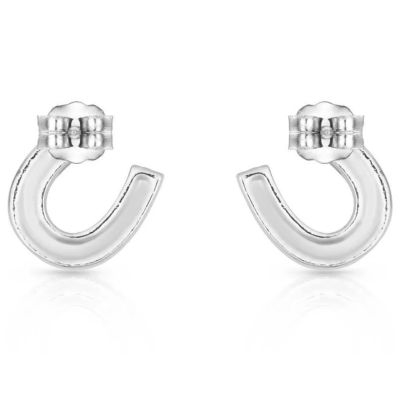 Image showing  Crystal Clear Stuck on Luck Post Earrings, Silver