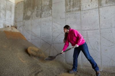 Image showing 5 th Ariat Women's Terrain Mid Waterproof Hiking Boots