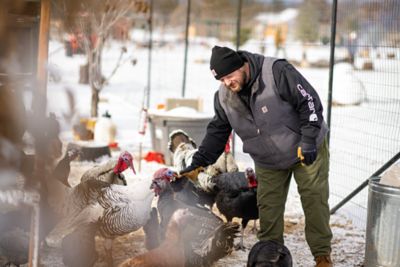 Image showing 6 th Carhartt Men's Iconic K288 Logo Hooded Sweatshirt
