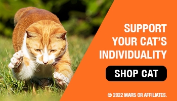 Support your cat's individuality Shop Cat.
