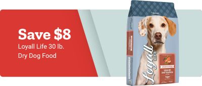 Promotional banner with a red and light gray background. Large white text on the left reads: Save eight dollars. Smaller white text below reads: Loyall Life 30 lb. Dry Dog Food. On the right side of the banner is an image of a 30 lb. bag of Loyall Life Grain Free dry dog food featuring a light-colored dog on the front of the packaging. The banner highlights a limited savings offer on Loyall Life dry dog food.
