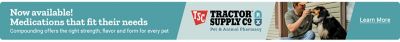 Now available! Medications that fit their needs. Compounding offers the right strength, flavor and form for every pet. Tractor Supply Co. RX Pet and Animal Pharmacy. Learn More. A promotional banner showing a person sitting outdoors giving medication to a dog by hand, with a teal background, angled design elements, and the Tractor Supply Co. RX branding displayed near the center.