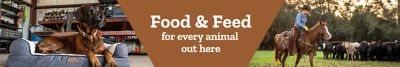 Tractor Supply Company banner promoting food and feed for every animal out here. Image shows a dog resting on a pet bed inside a barn and a person riding a horse herding cattle in a pasture.