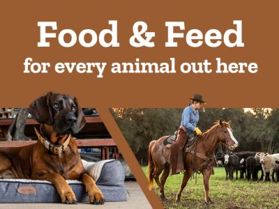 Tractor Supply Company banner promoting food and feed for every animal out here. Image shows a dog resting on a pet bed inside a barn and a person riding a horse herding cattle in a pasture.