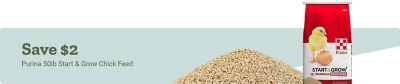Promotional banner featuring Purina Start and Grow Chick Feed with a save $2 offer.