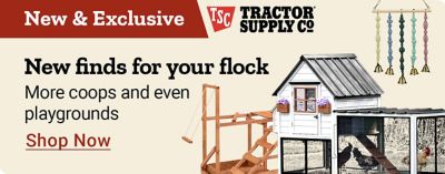 New and Exclusive. TSC Tractor Supply Co. New finds for your flock. More coops and even playgrounds. Shop Now. A promotional banner featuring a large chicken coop, hanging poultry accessories, and a wooden chicken playground structure displayed against a beige background.