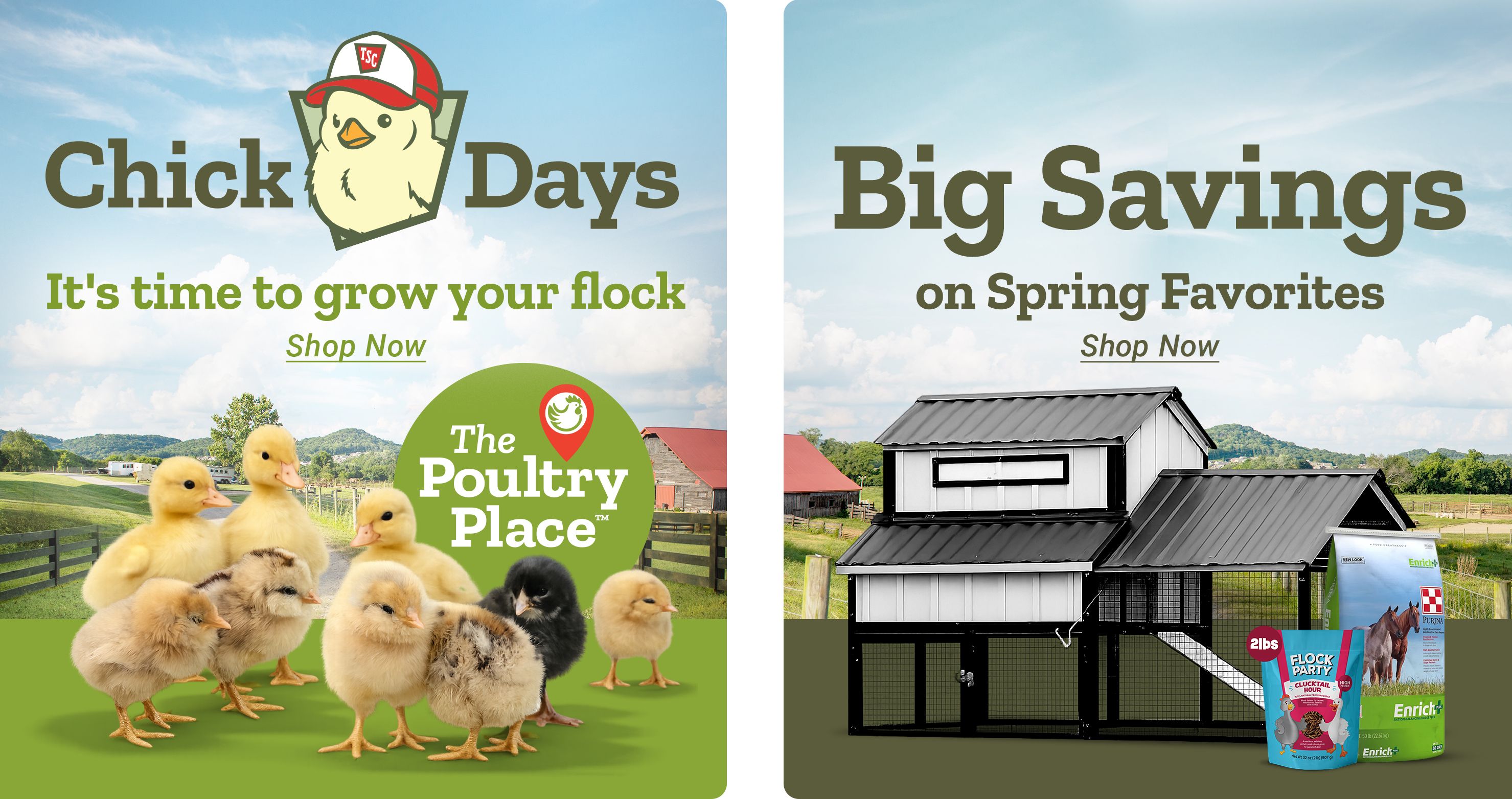 Left panel: Chick Days. It's time to grow your flock. Shop Now. The Poultry Place. Right panel: Big Savings on Spring Favorites. Shop Now. A split promotional banner showing baby chicks standing on grass in a farm landscape on the left, and a large black and white chicken coop with Purina and Flock Party poultry feed bags displayed beside it on the right.