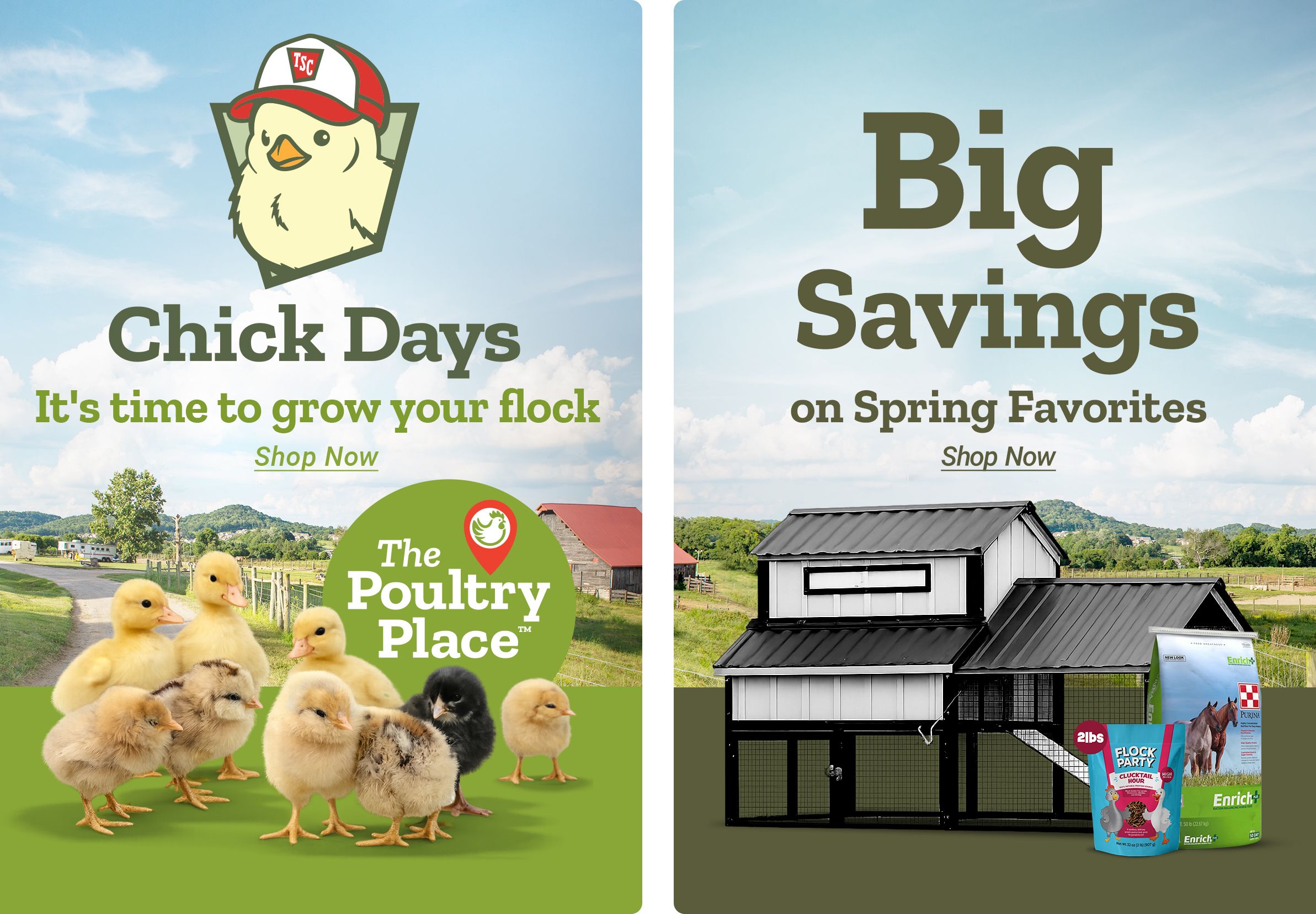 Left panel: Chick Days. It's time to grow your flock. Shop Now. The Poultry Place. Right panel: Big Savings on Spring Favorites. Shop Now. A split promotional banner showing baby chicks standing on grass in a farm landscape on the left, and a large black and white chicken coop with Purina and Flock Party poultry feed bags displayed beside it on the right.