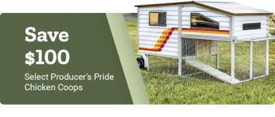 Save 100 dollars. Select Producer's Pride Chicken Coops. A promotional banner featuring a white Producer's Pride chicken coop with attached run displayed on grass in an outdoor setting.