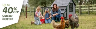 Up to 40 percent off outdoor supplies. A promotional banner showing a woman and two children kneeling on grass near a chicken coop while feeding chickens in a fenced backyard setting.