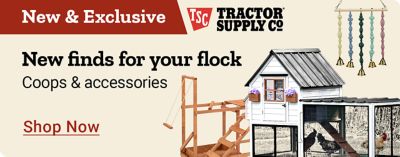 New and Exclusive. Tractor Supply Co. New finds for your flock. Coops and accessories. Shop Now. A promotional banner featuring a chicken coop and wooden chicken accessories displayed against a light background.