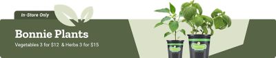 Bonnie Plants. Vegetables three for 12 dollars and herbs three for 15 dollars, In-Store Only. A promotional banner featuring Bonnie Plants vegetable and herb plants in black pots against a green background.