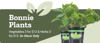 Bonnie Plants. Vegetables three for 12 dollars and herbs three for 15 dollars, In-Store Only. A promotional banner featuring Bonnie Plants vegetable and herb plants in black pots against a green background.