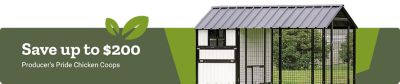 Save up to 200 dollars on Producer's Pride chicken coops. A promotional banner featuring a large white chicken coop with enclosed run displayed outdoors.