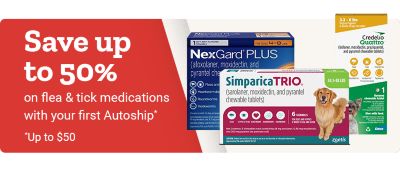 Save up to 50 percent on flea and tick medications with your first Autoship. Up to 50 dollars. NexGard Plus, Simparica Trio, and Credelio Quattro chewable tablets for dogs displayed on a red and white background.