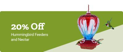 Hummingbird Feeders and Nectar