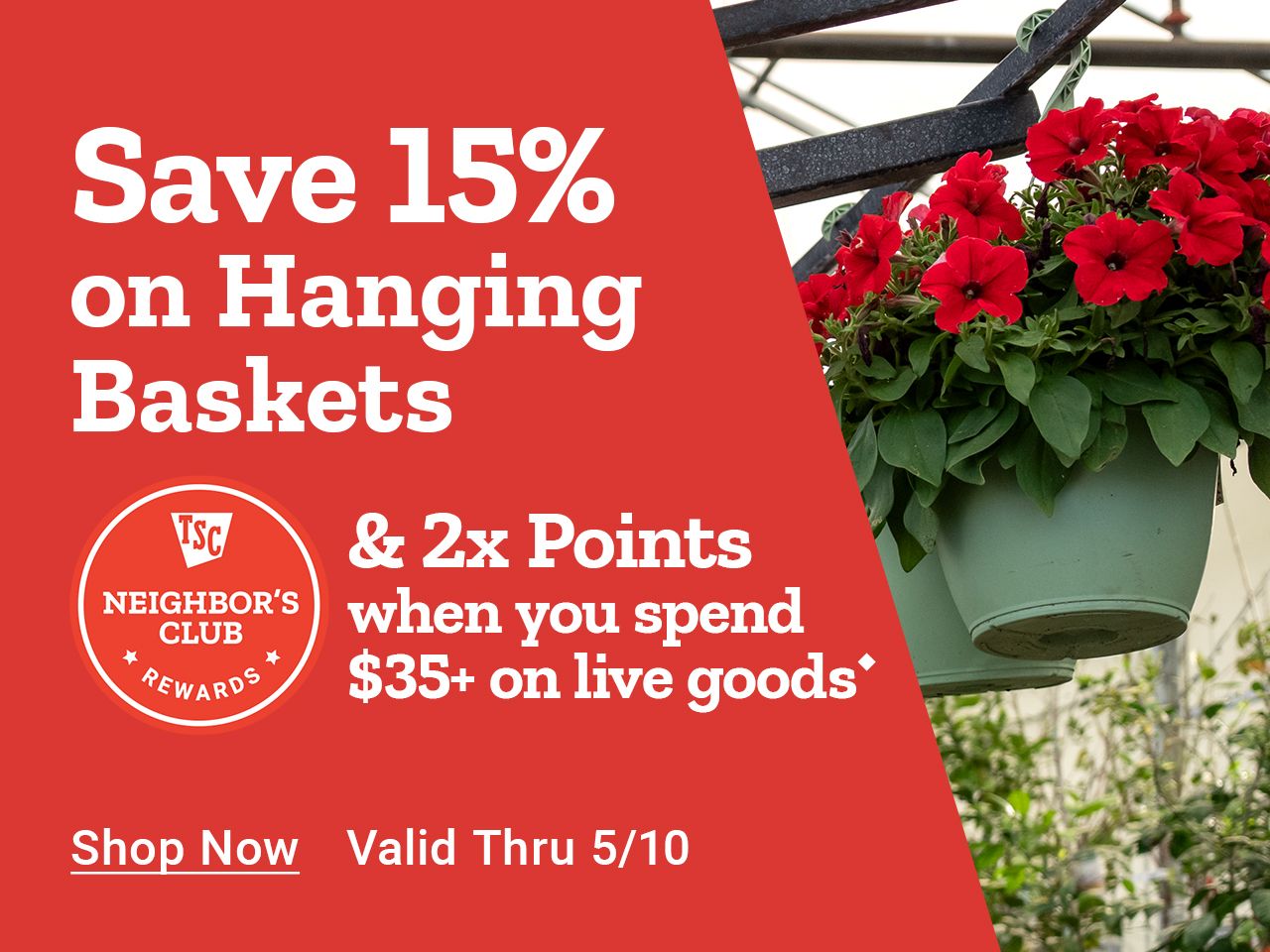 Tractor Supply Company Neighbor's Club promotion. Save 15 percent on hanging baskets and earn 2x points when you spend 35 dollars or more on live goods. Offer valid through May 10. Image shows red flowering hanging baskets in greenhouse. Shop Now.