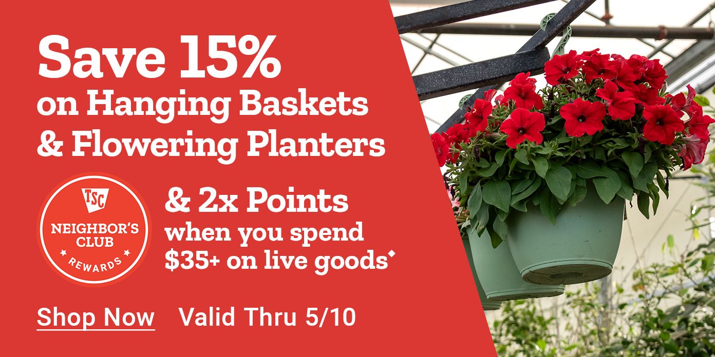 Tractor Supply Company Neighbor's Club promotion. Save 15 percent on hanging baskets and earn 2x points when you spend 35 dollars or more on live goods. Offer valid through May 10. Image shows red flowering hanging baskets in greenhouse. Shop Now.
