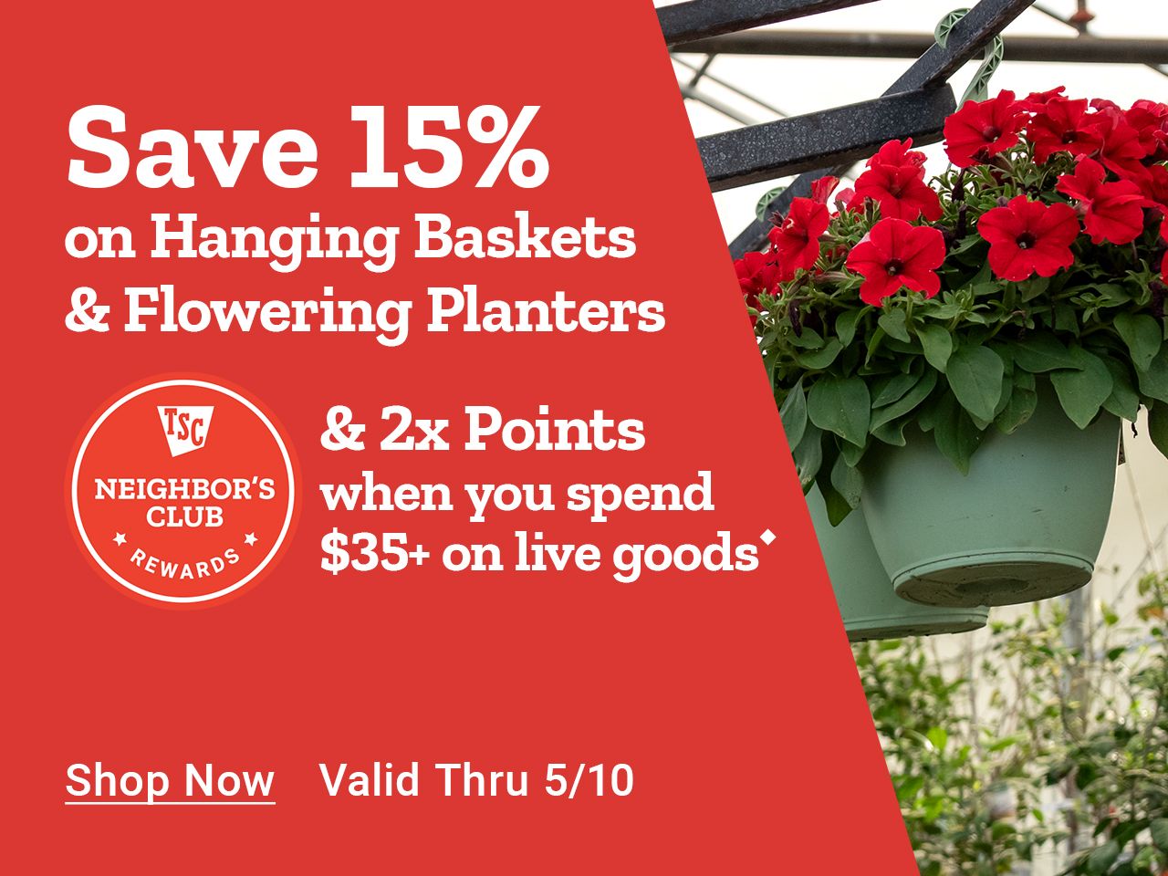 Tractor Supply Company Neighbor's Club promotion. Save 15 percent on hanging baskets and earn 2x points when you spend 35 dollars or more on live goods. Offer valid through May 10. Image shows red flowering hanging baskets in greenhouse. Shop Now.