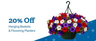 Promotional half banner for Blackstone 36 in. Griddles. Offer text: Save up to $100.