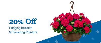 Promotional half banner for Blackstone 36 in. Griddles. Offer text: Save up to $100.