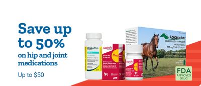 Promotional half banner for UTVs. Offer text: Save $500. Additional text: As low as $178/Mo.^ for 48 Mo. at 0% APR.