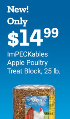 New. Only 14 dollars and 99 cents ImPECKables apple poultry treat block 25 pound. Shop now. ImPECKables apple poultry treat block with chicken image on packaging displayed on a blue background.