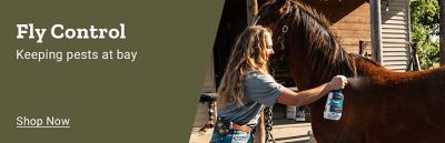 Fly control. Keeping pests at bay. Shop now. Person spraying fly control treatment on a horse outside a barn.