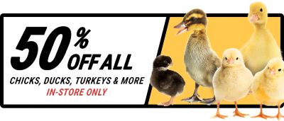 Promotional half banner for American Farm Works Electric Fence Energizers. Offer text: Save up to $40.