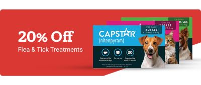 Promotional half banner for Flea & Tick Treatments. Offer text: 20% Off.