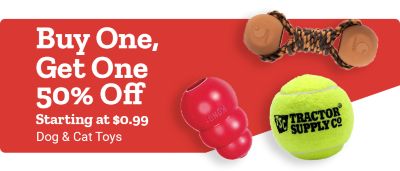 Promotional half banner. Offer text: Extra 10% off ALL Pet Products when you buy online pick up in-store.