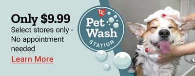 Tractor Supply Company Pet Wash Station promotion. Only 9.99 at select stores with no appointment needed. Image shows a dog being bathed with soap bubbles. Learn More.