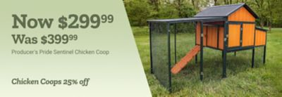 Tractor Supply Company promotion. Producer's Pride Sentinel Chicken Coop now 299.99 was 399.99. Chicken coops 25 percent off. Image shows elevated chicken coop with enclosed run in grassy outdoor setting.