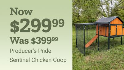 Tractor Supply Company promotion. Producer's Pride Sentinel Chicken Coop now 299.99 was 399.99. Chicken coops 25 percent off. Image shows elevated chicken coop with enclosed run in grassy outdoor setting.