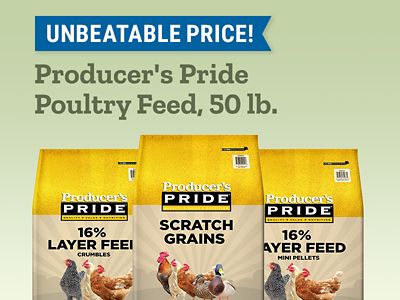 Tractor Supply Company promotion. Unbeatable price on Producer's Pride poultry feed 50 pound bags. Image shows Producer's Pride layer feed crumbles, scratch grains, and mini pellets poultry feed bags.