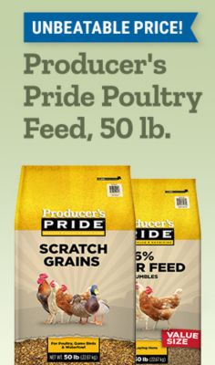 Tractor Supply Company promotion. Unbeatable price on Producer's Pride poultry feed 50 pound bags. Image shows Producer's Pride layer feed crumbles, scratch grains, and mini pellets poultry feed bags.