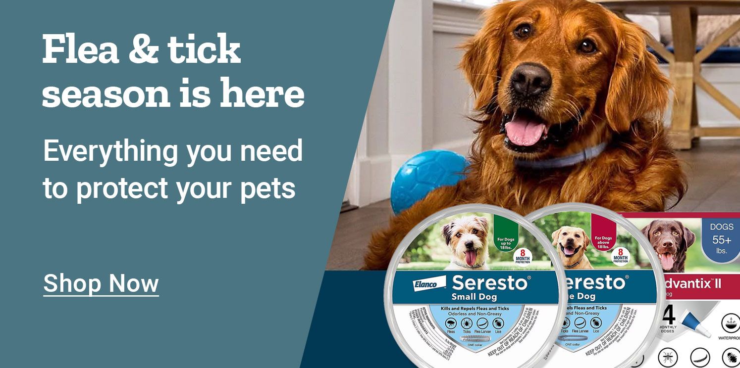 Flea & tick season is here. Everything you need to protect your pets. Shop Now