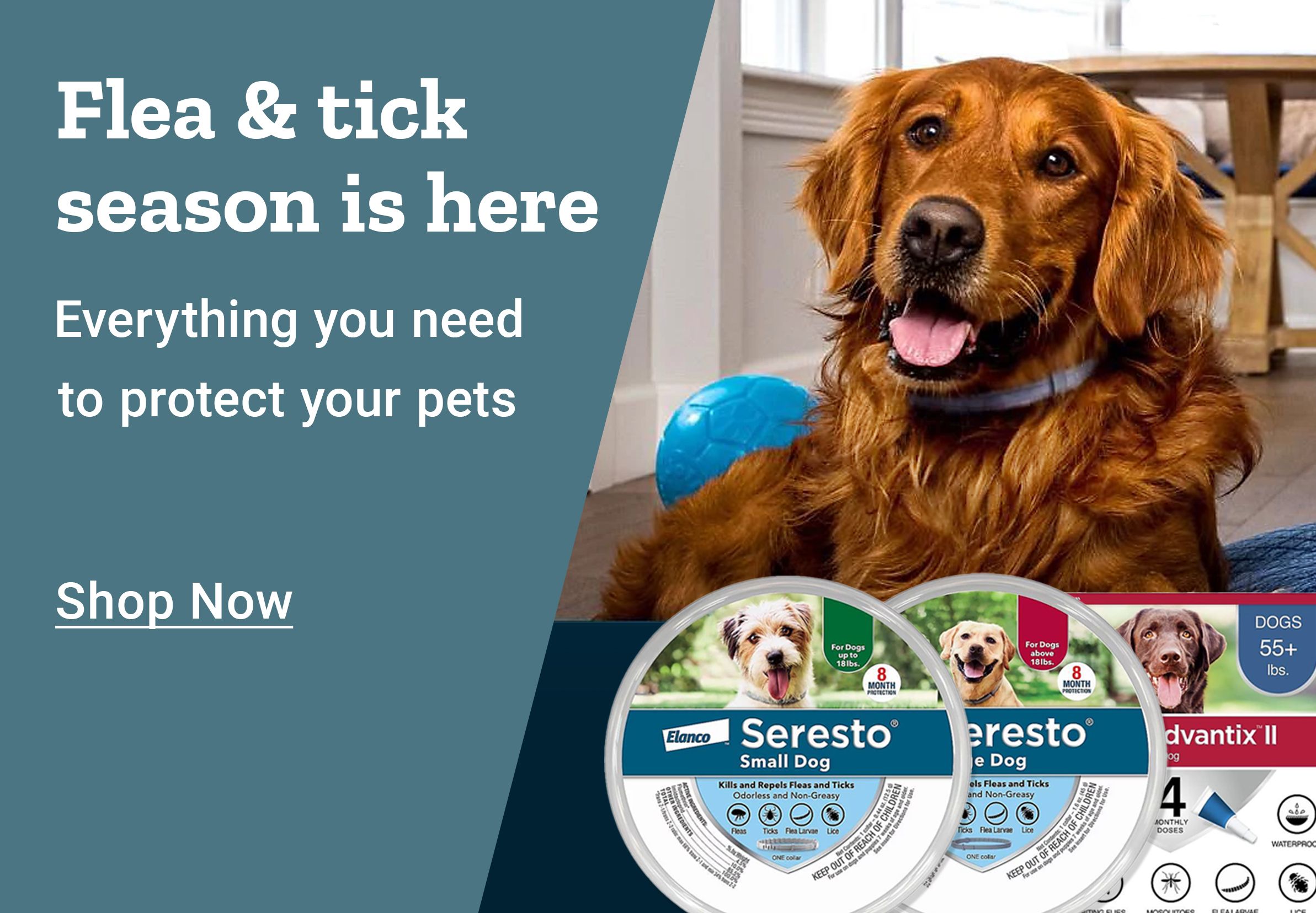 Flea & tick season is here. Everything you need to protect your pets. Shop Now