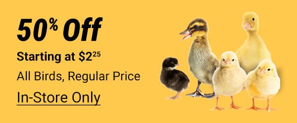 All birds 50 percent off, starting at 2.25, in store only.