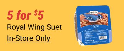 Five for 5 dollars. Royal Wing suet. Blue package of Royal Wing peanut suet bird feed displayed on a yellow background. In-store only.